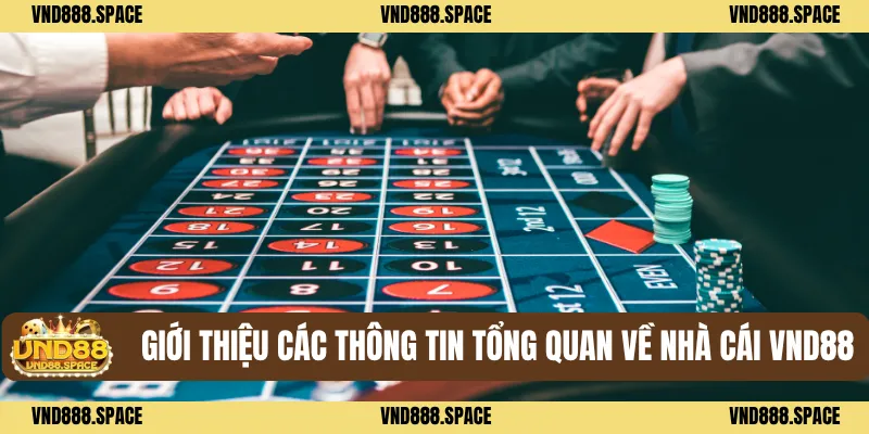 VND88 26 Giới thiệu các thông tin tổng quan về nhà cái VND88