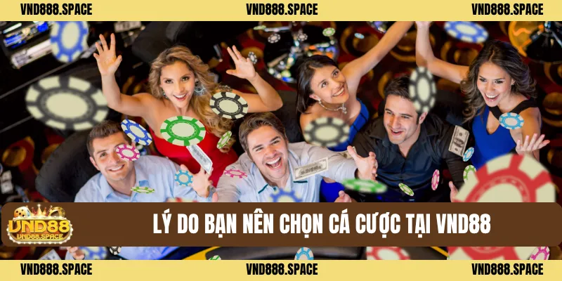 VND88 31 Lý do bạn nên chọn cá cược tại VND88